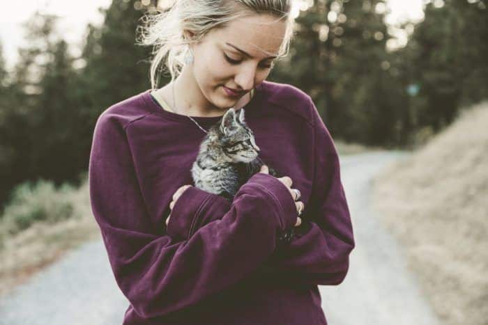 cat being held by person